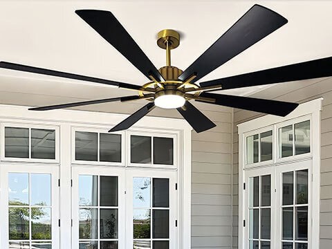 Ceiling Fans in Bulimba