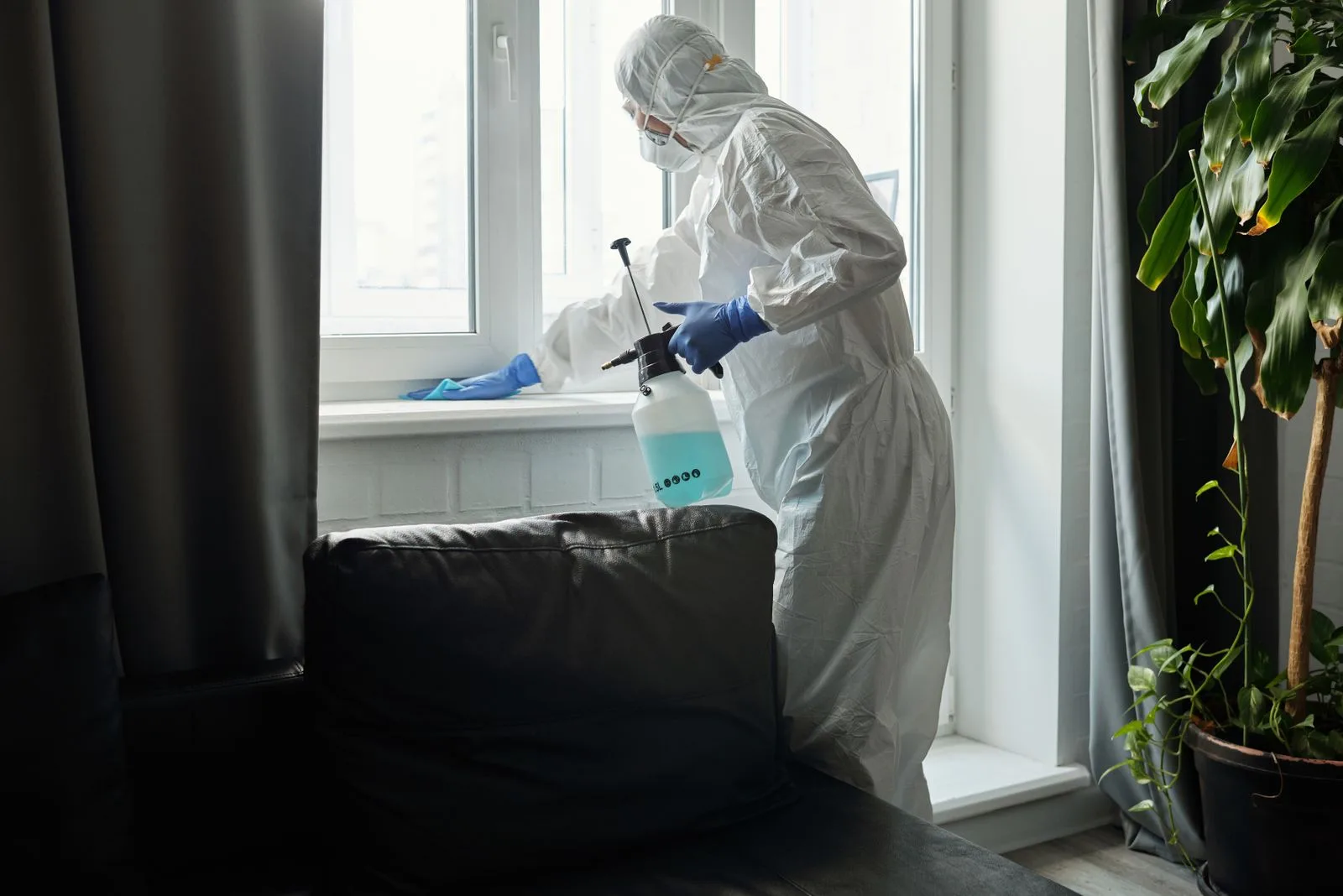 Flea treatment and end-of-lease pest support