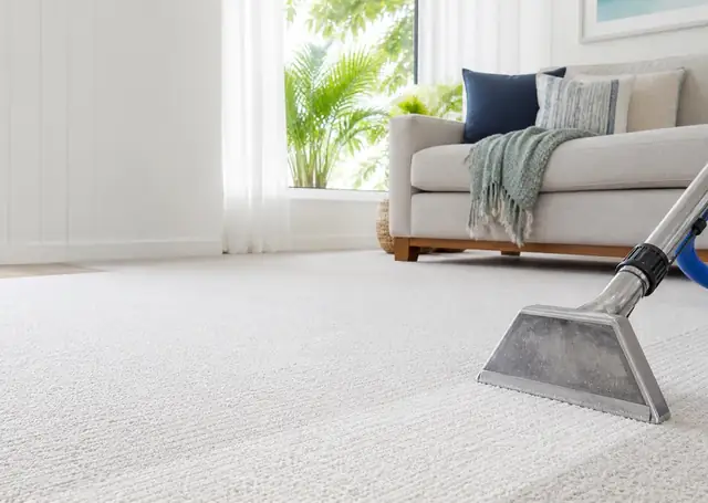 Lounge & Upholstery Cleaning service image