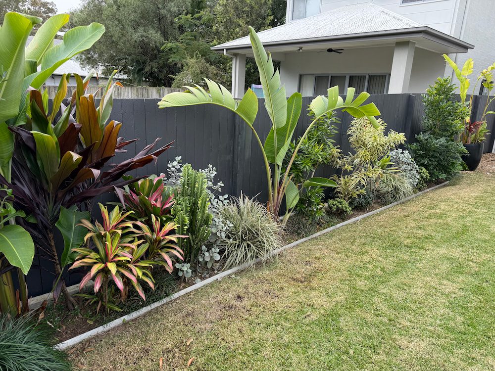 Colourful fence-line garden bed