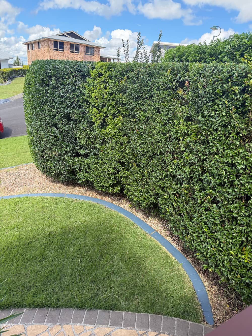 Freshly mulched and edged garden bed by Cappelli Green Services