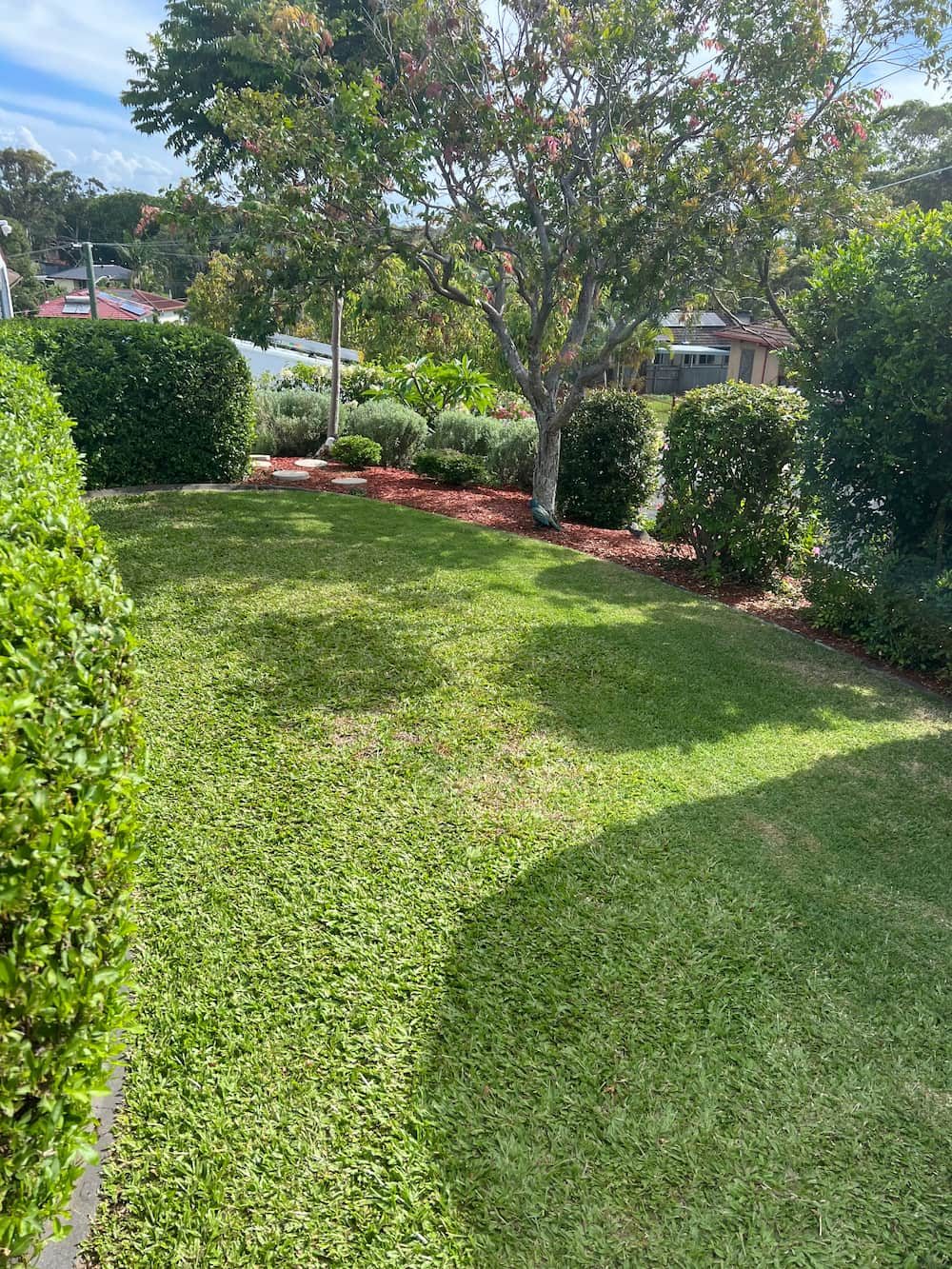 Lawn Care & Fertilising by Cappelli Green Services in Brisbane