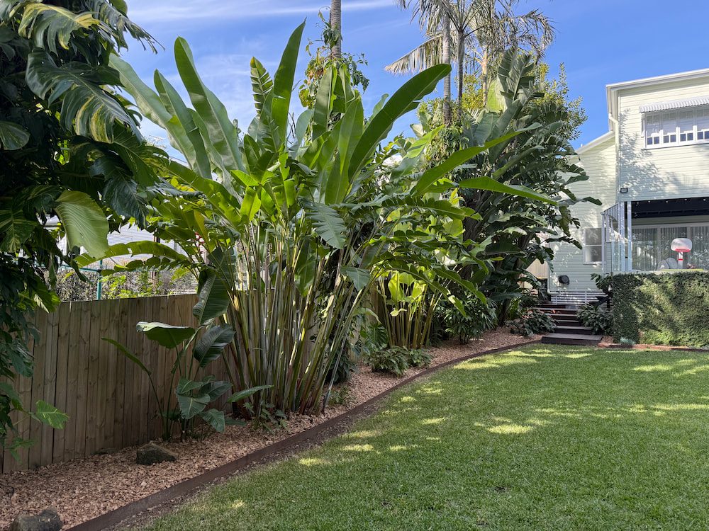 Lush tropical backyard garden