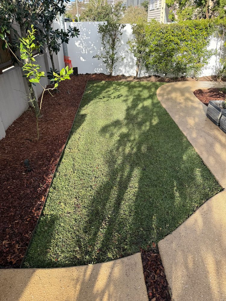 Freshly laid turf in a shaded backyard