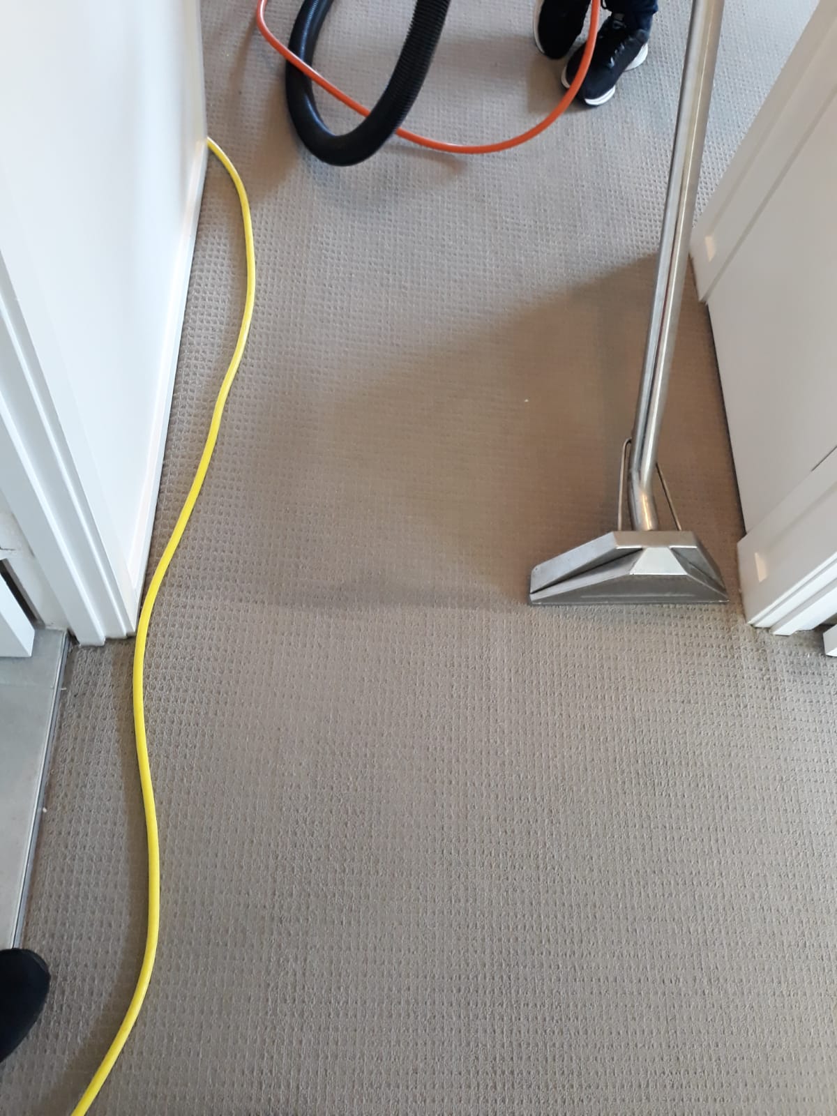 Carpet cleaning work by Carpet Cleaning Heroes in Brisbane