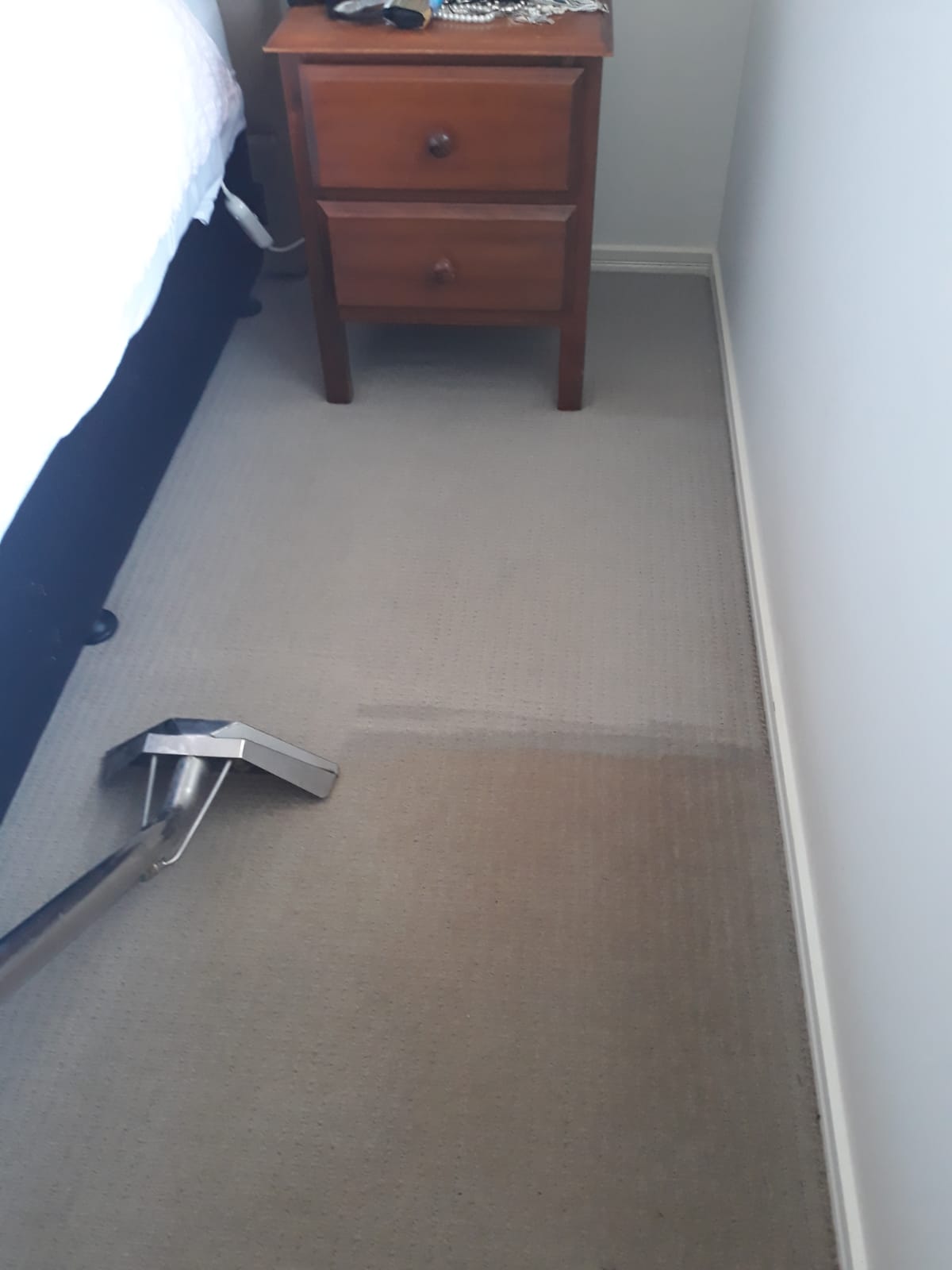 Carpet cleaning work by Carpet Cleaning Heroes in Brisbane