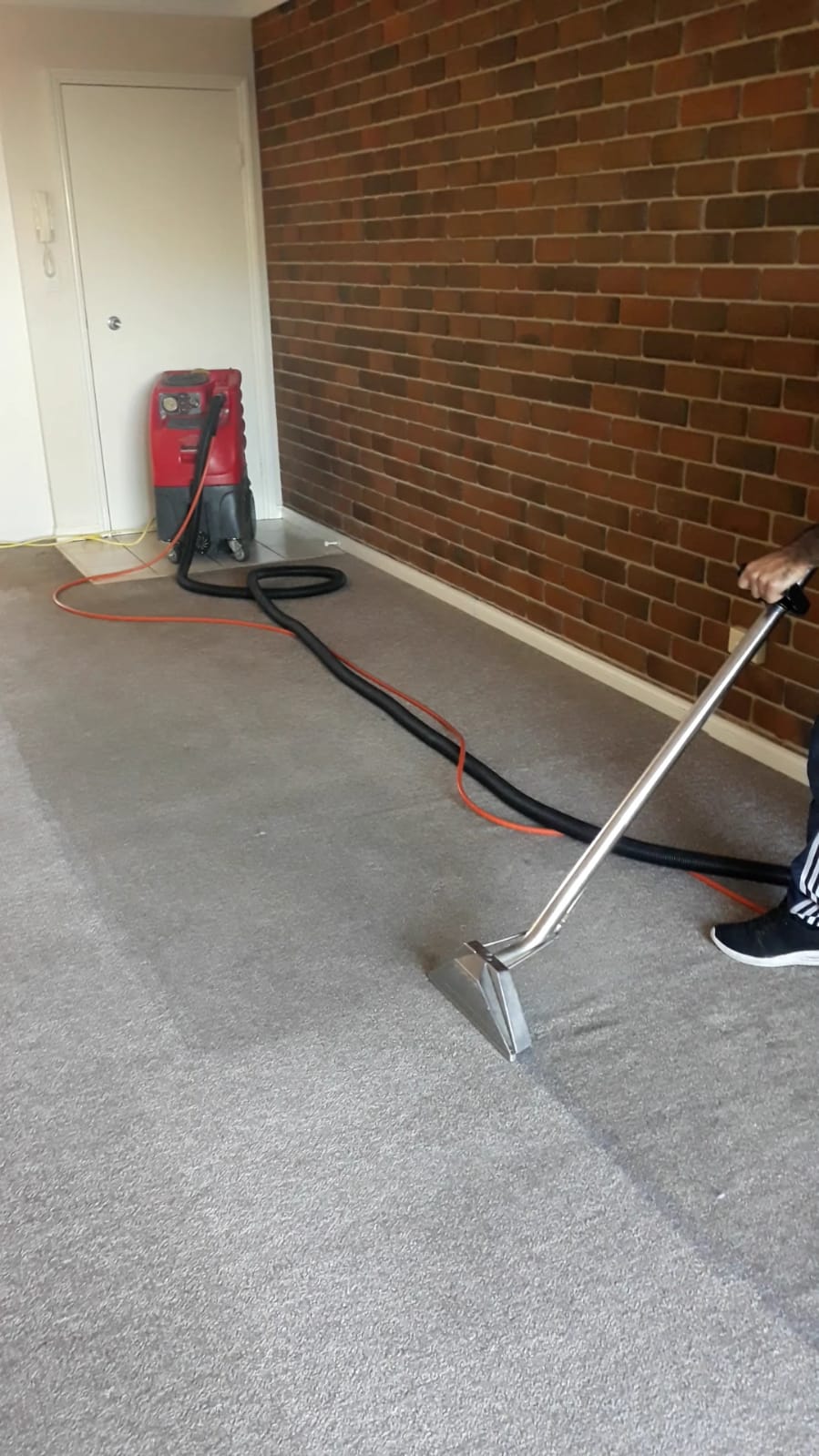 Carpet cleaning work by Carpet Cleaning Heroes in Brisbane