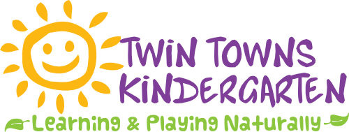 Twin Towns Kindergarten logo shown on source site