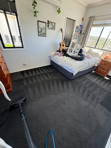 Carpet Steam Cleaning by Carpet Cleaning Logistics