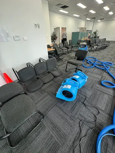 Commercial Carpet Cleaning by Carpet Cleaning Logistics