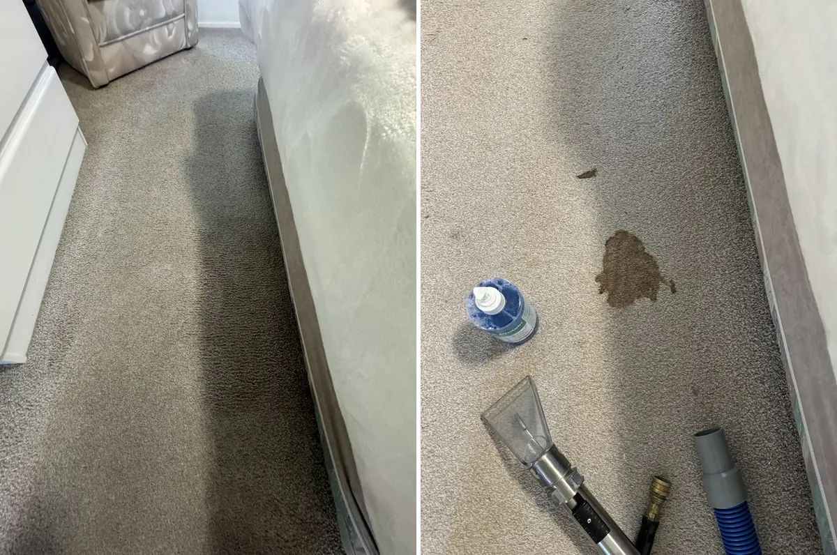 Stain & Spot Removal by Carpet Cleaning Logistics