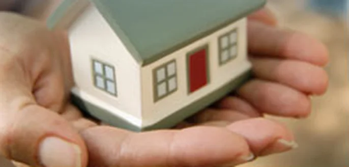 Handyman & Property Maintenance in Springfield Lakes