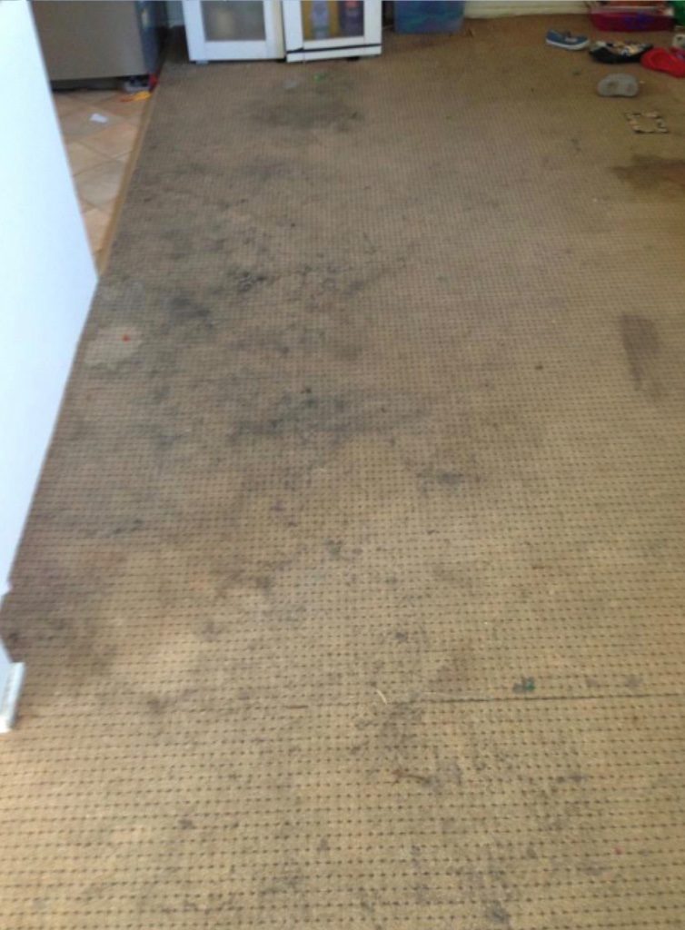 Carpet before cleaning