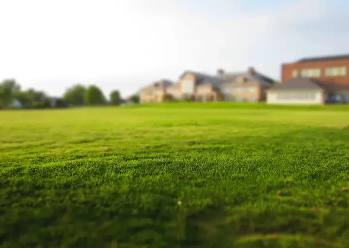 Lawn mower trimming grass close to a path