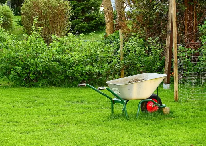 Well maintained residential garden and lawn