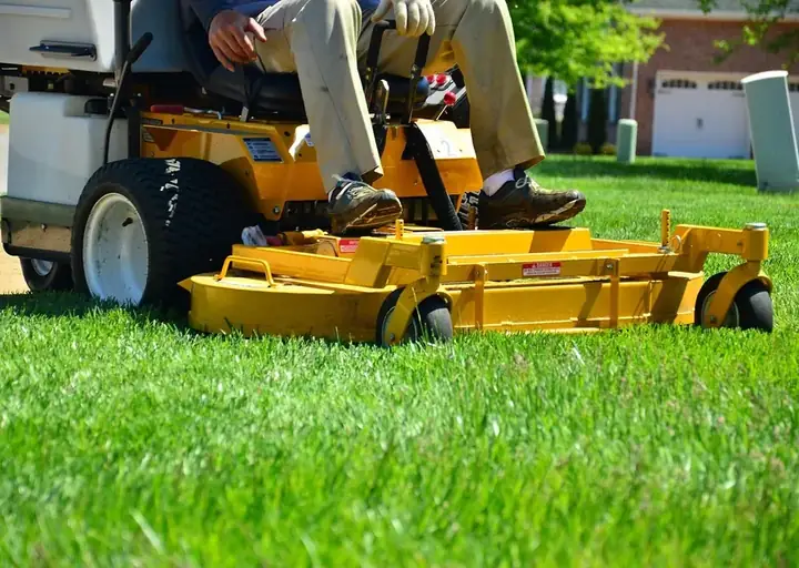 Healthy residential garden border and hedge maintenance