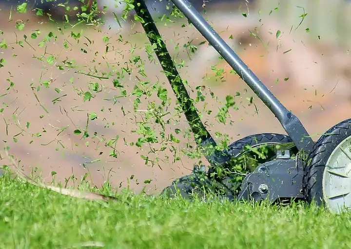 Freshly cut residential lawn after mowing