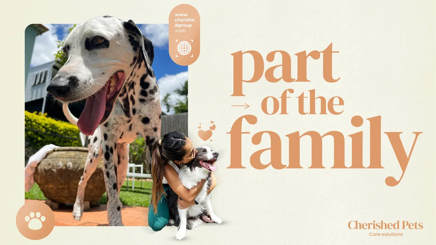Dog care at home