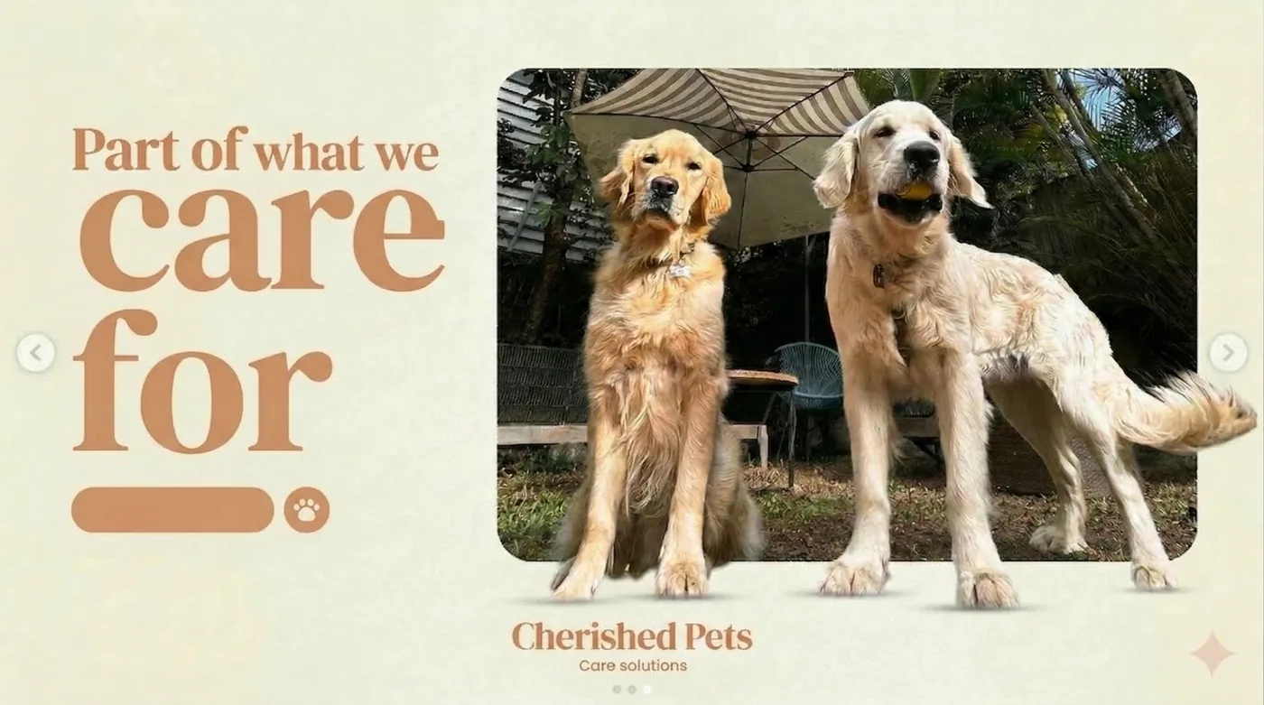 In-home pet sitting and home care