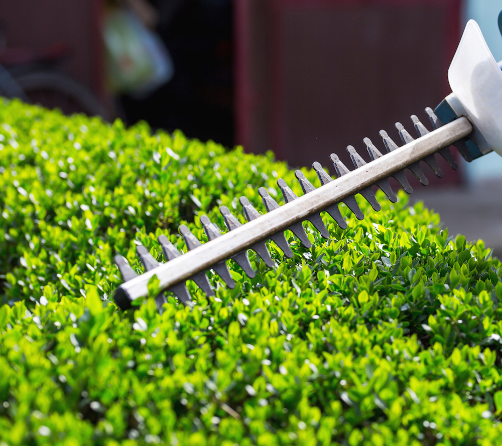 Gardening in Brisbane east — Circle Maintenance