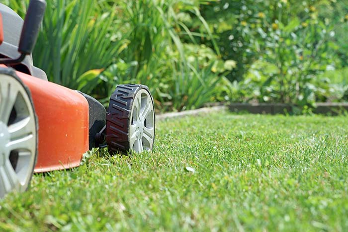 Lawn Mowing in Brisbane east — Circle Maintenance