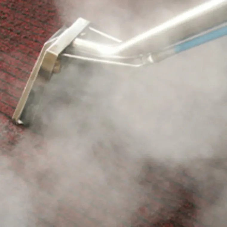 Carpet steam cleaning source photo