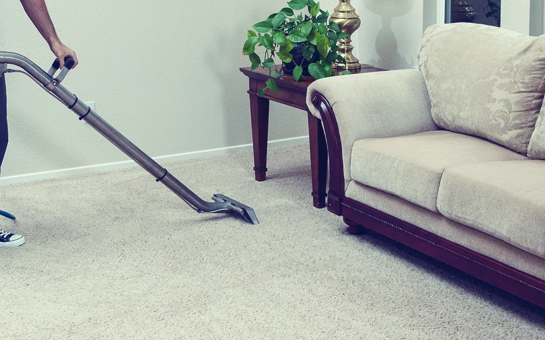 Freshly cleaned carpeted room from City Carpet Restorations source photography