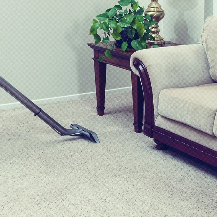 Carpet Cleaning by City Carpet Restorations