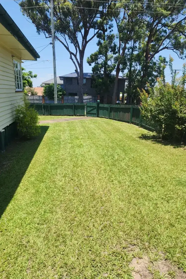 A neatly maintained Carina Heights lawn cared for by CJ's Lawn Care