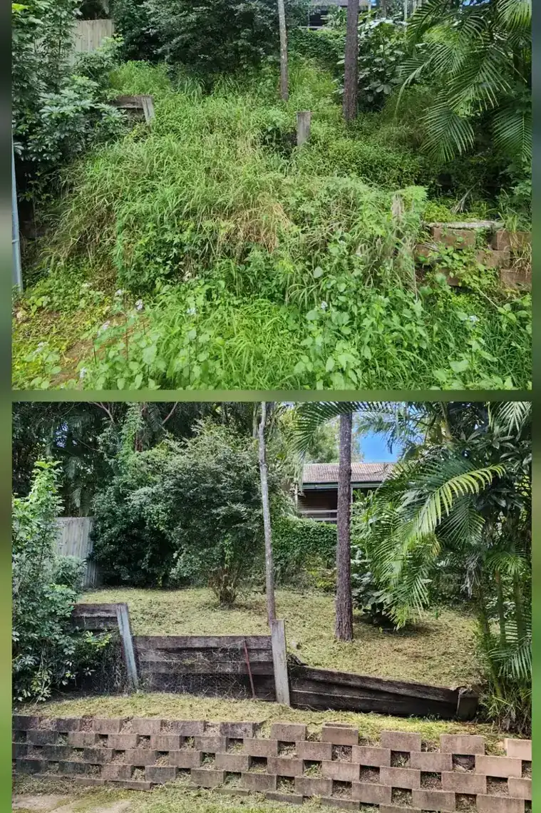 An overgrown area being cleared of weeds by CJ's Lawn Care