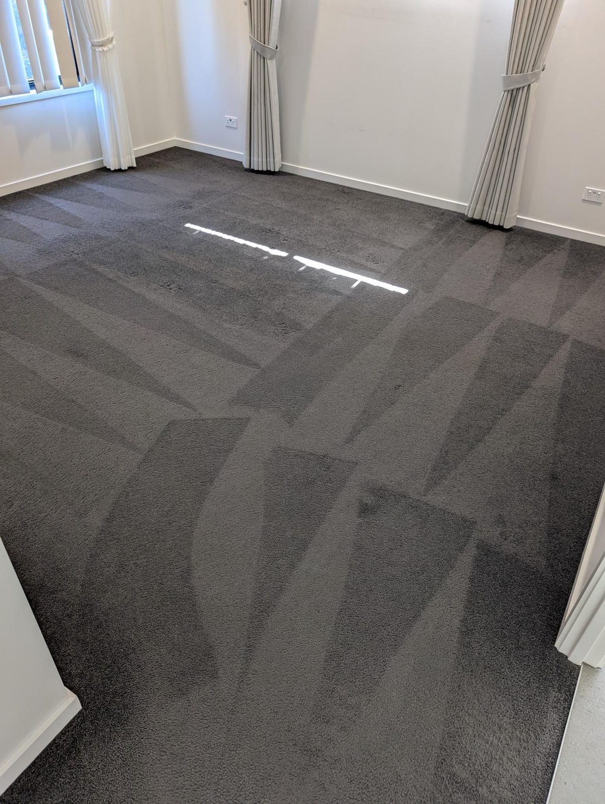 Carpet Steam Cleaning
