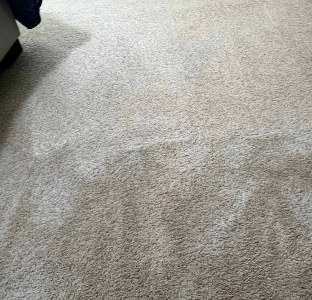 Carpet Steam Cleaning by Clean Carpets Brisbane in Brisbane