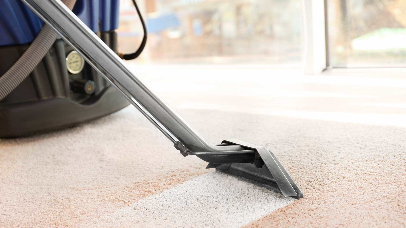 Carpet steam cleaning in a Brisbane home