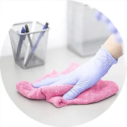 Domestic House Cleaning