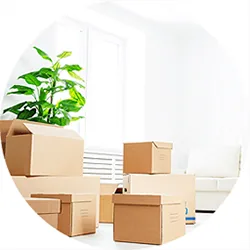 Move-In / Move-Out Cleaning