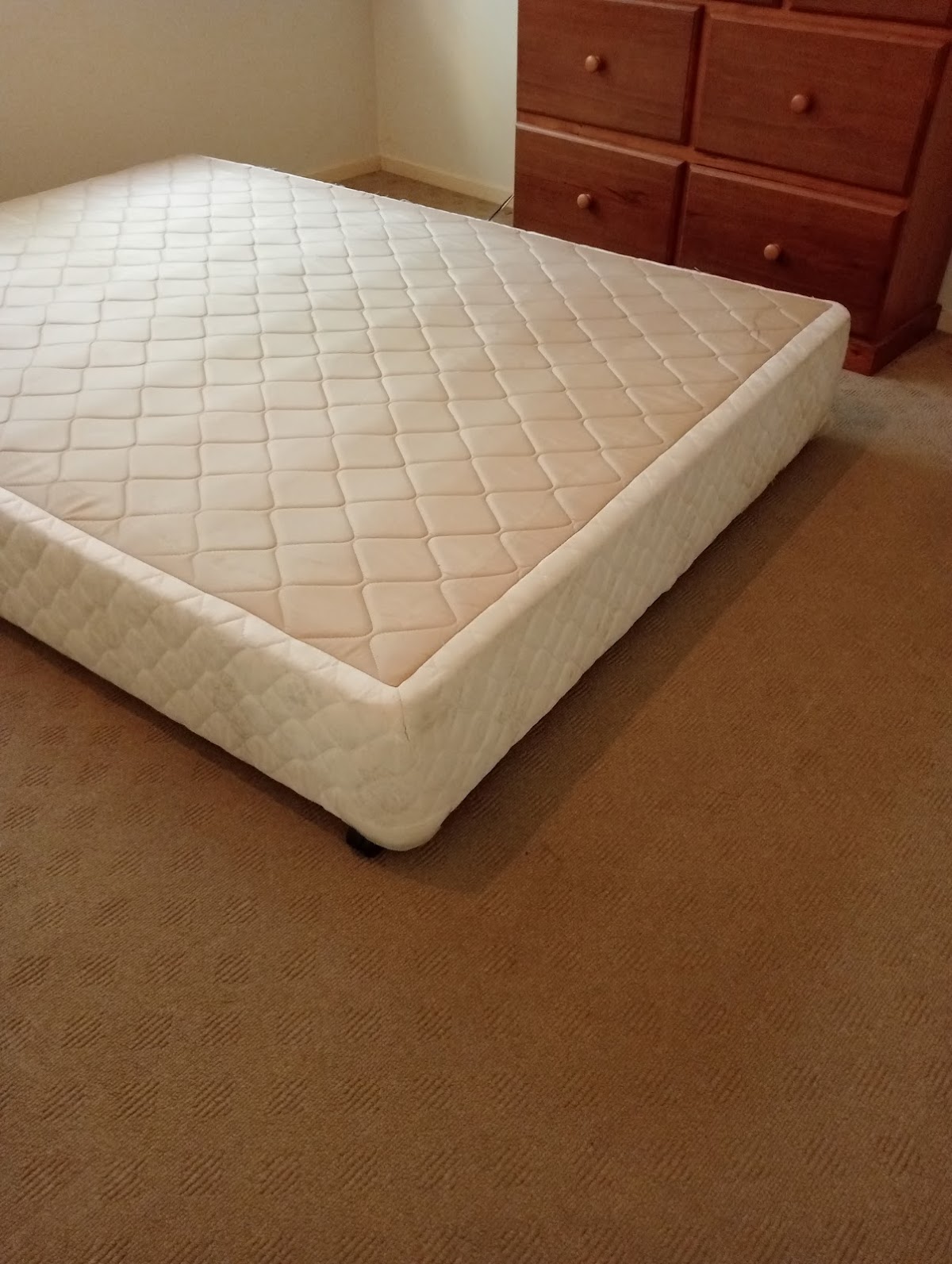 Upholstery and lounge cleaning service
