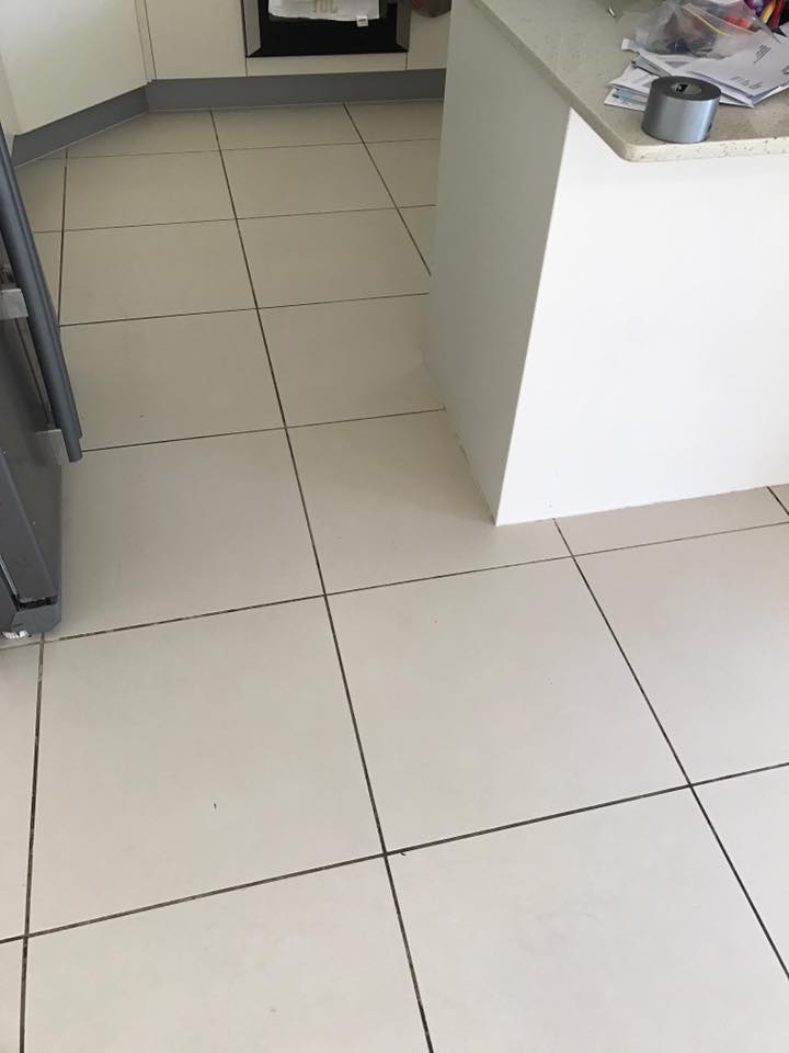 Carpet before cleaning