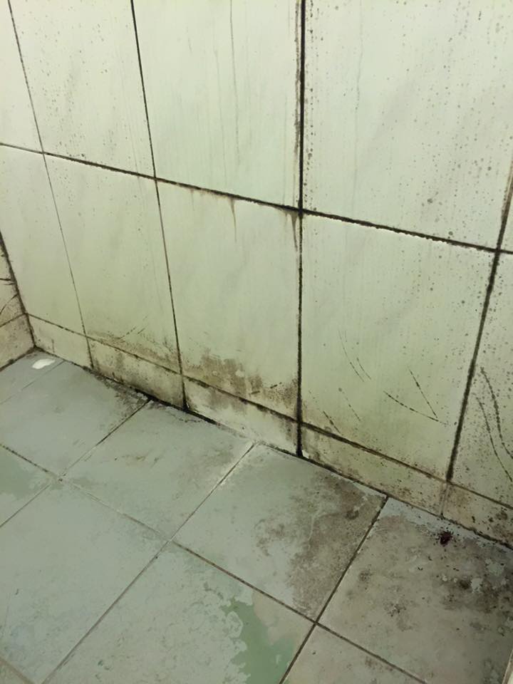 Carpet before cleaning