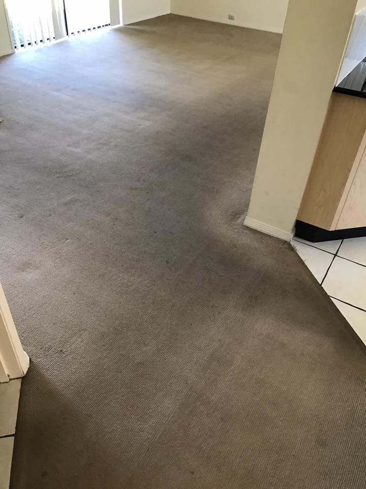 Carpet before cleaning