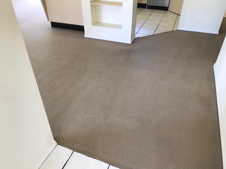 Carpet after cleaning by Cleankill