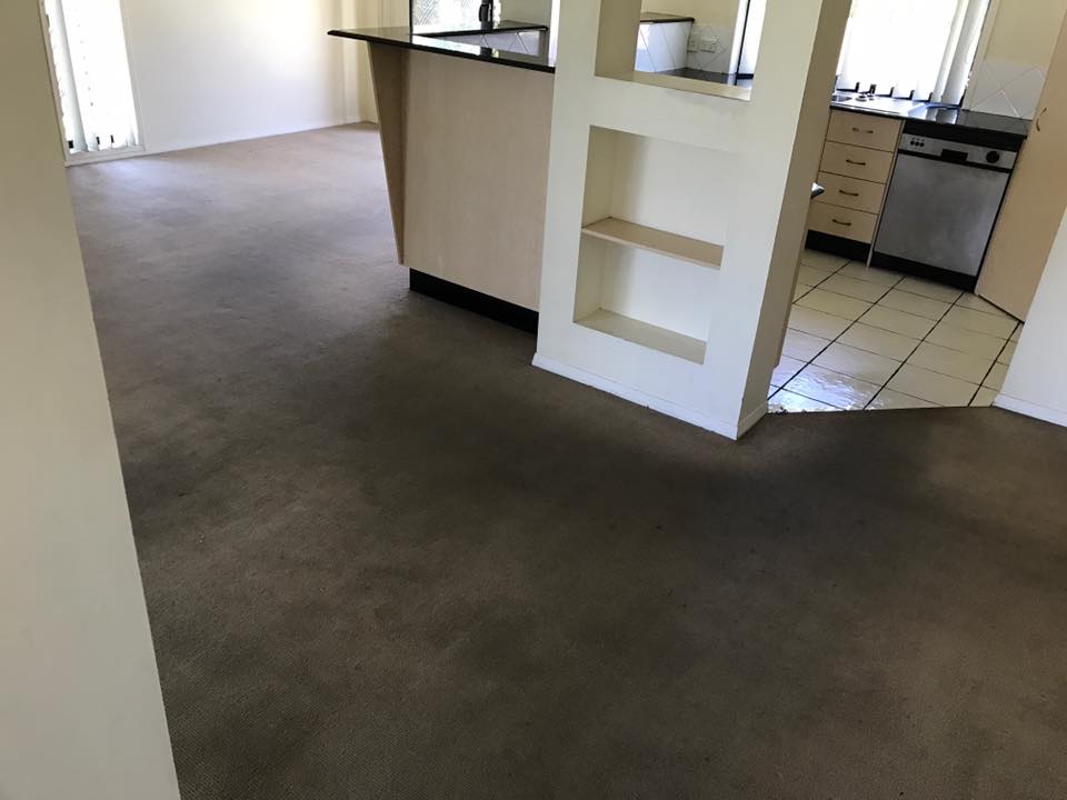 Carpet before cleaning