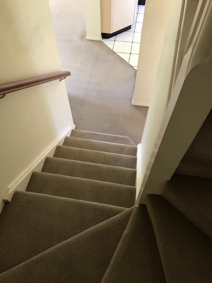 Carpet after cleaning by Cleankill