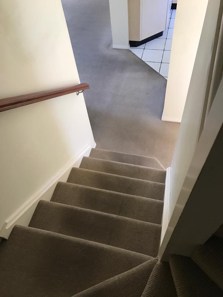 Carpet before cleaning