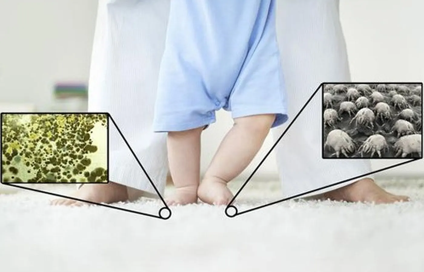 Exit & Bond Carpet Cleaning source image