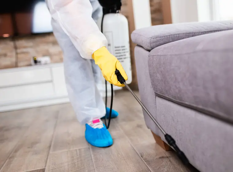 Sofa fabric cleaning