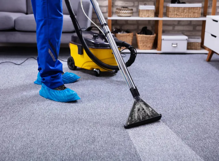 Pest control preparation