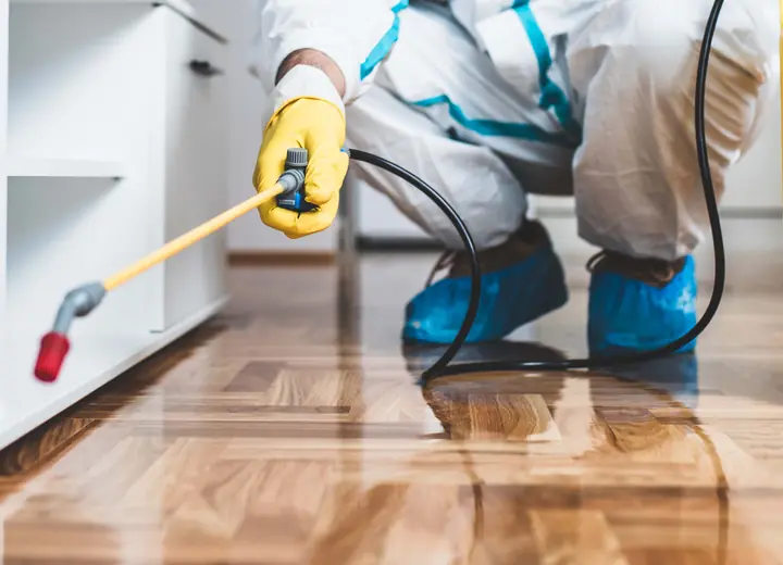 Pest Control service image