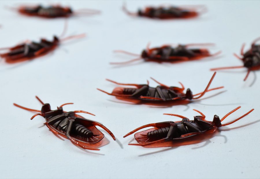 Cockroach control