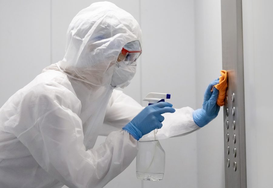 Commercial Pest Management by Combat Pest Solutions Brisbane
