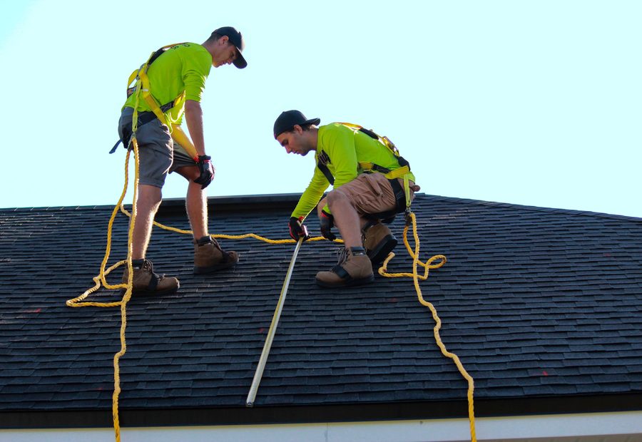 Solar Bird Proofing & Cleaning by Combat Pest Solutions Brisbane